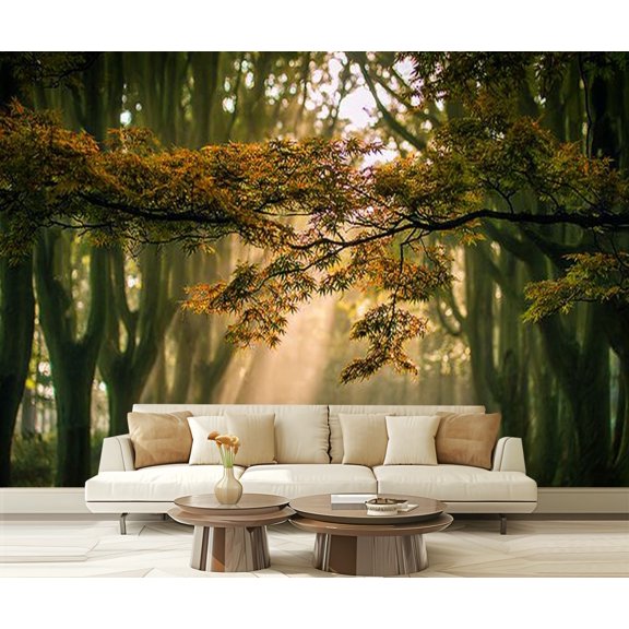Peel and Stick Wallpaper Sun shining trees sand path Modern Art Wall Mural Decor Self Adhesive and Removable 69in x 98in
