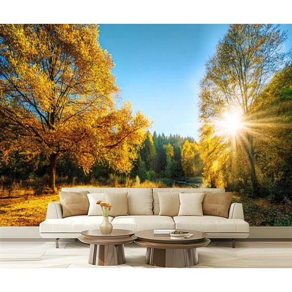 Peel and Stick Wallpaper Sunny autumn scenery an idyllic park Modern Art Wall Mural Decor Self Adhesive and Removable 69in x 98in