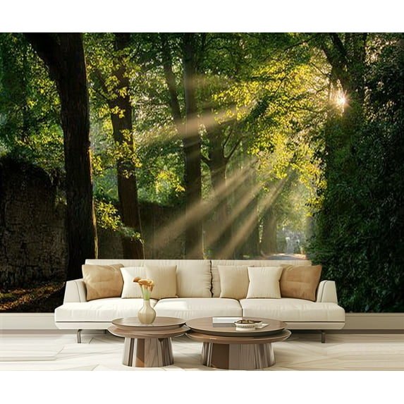 Peel and Stick Wallpaper Sunshine alley Modern Art Wall Mural Decor Self Adhesive and Removable 69in x 98in