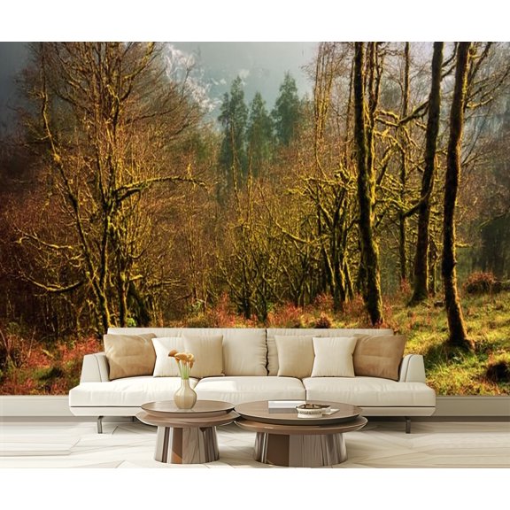 Peel and Stick Wallpaper There is shot forrest tall trees duckweed plants ground Modern Art Wall Mural Decor Self Adhesive and Removable 69in x 98in