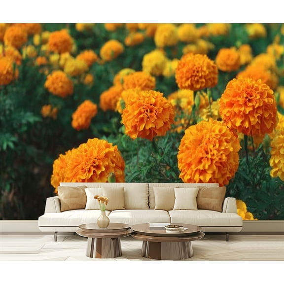 Peel and Stick Wallpaper Vibrant Orange Yellow Blooming Marigold Flowers Field Modern Art Wall Mural Decor Self Adhesive and Removable 69in x 98in