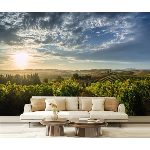 Peel and Stick Wallpaper Waterproof Clouds sunlight Sonoma vineyard summer Wall Mural Decor Self Adhesive and Removable 69in x 98in