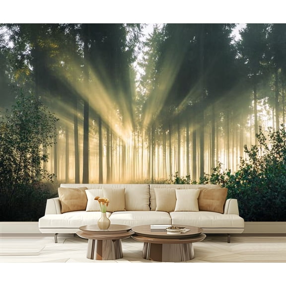 Peel and Stick Wallpaper Waterproof Foggy morning spruce forest strong sunbeams Wall Mural Decor Self Adhesive and Removable 69in x 98in