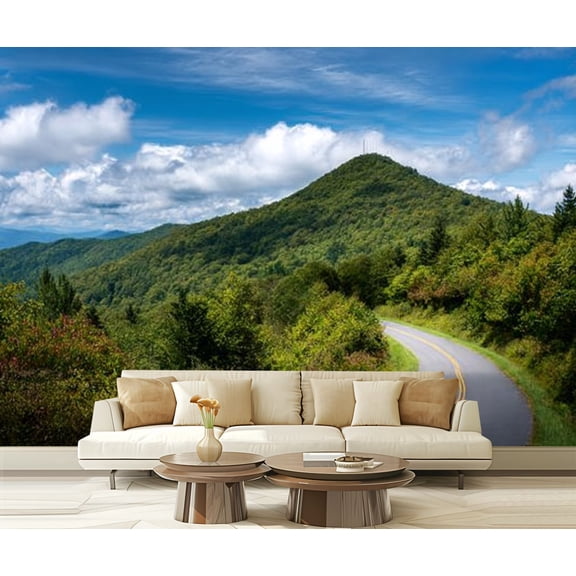 Peel and Stick Wallpaper Waterproof Mt Pisgah BRP Wall Mural Decor Self Adhesive and Removable 69in x 98in