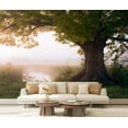 thumbnail image 1 of Peel and Stick Wallpaper Waterproof Oak tree Wall Mural Decor Self Adhesive and Removable 69in x 98in, 1 of 8