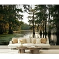 thumbnail image 1 of Peel and Stick Wallpaper Waterproof Swamp Wall Mural Decor Self Adhesive and Removable 69in x 98in, 1 of 8
