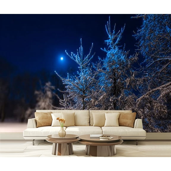 Peel and Stick Wallpaper Winter beautiful landscape moon shines blue sky Night Modern Art Wall Mural Decor Self Adhesive and Removable 69in x 98in