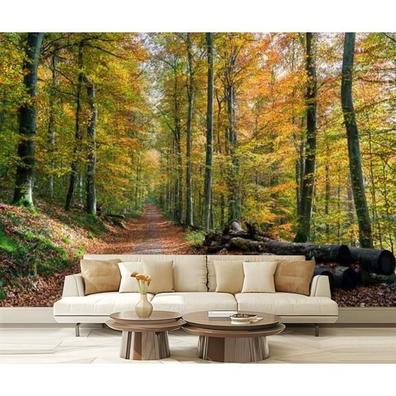 Peel and Stick Wallpaper beautiful trees autumnal forest Modern Art Wall Mural Decor Self Adhesive and Removable 69in x 98in