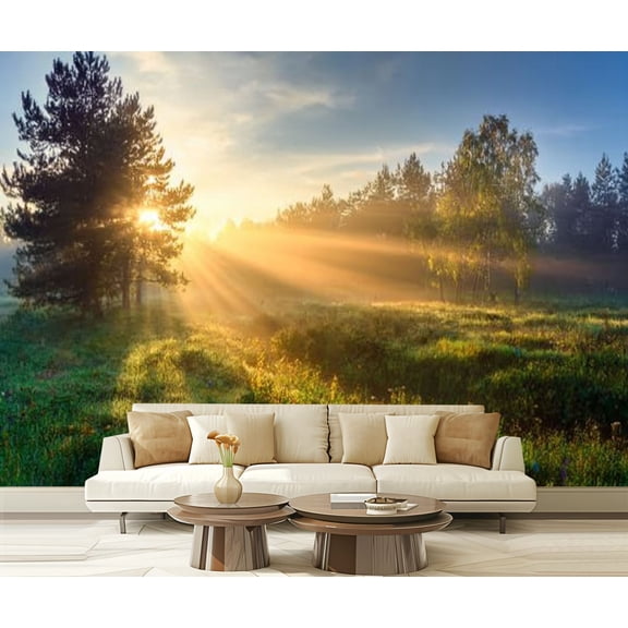 Peel and Stick Wallpaper landscape sun forest meadow sunrise Modern Art Wall Mural Decor Self Adhesive and Removable 69in x 98in