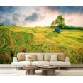 thumbnail image 1 of Peel and Stick Wallpaper panoramic view nature landscape green field rice sunset Modern Art Wall Mural Decor Self Adhesive and Removable 69in x 98in, 1 of 8