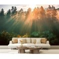 thumbnail image 1 of Peel and Stick Wallpaper sun breaking Modern Art Wall Mural Decor Self Adhesive and Removable 69in x 98in, 1 of 8