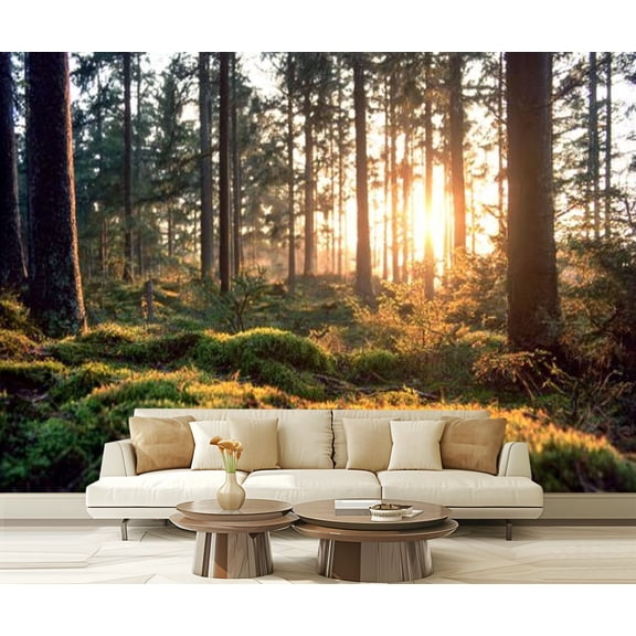 Peel and Stick Wallpaper sunrise between tree trunks forest Modern Art Wall Mural Decor Self Adhesive and Removable 69in x 98in