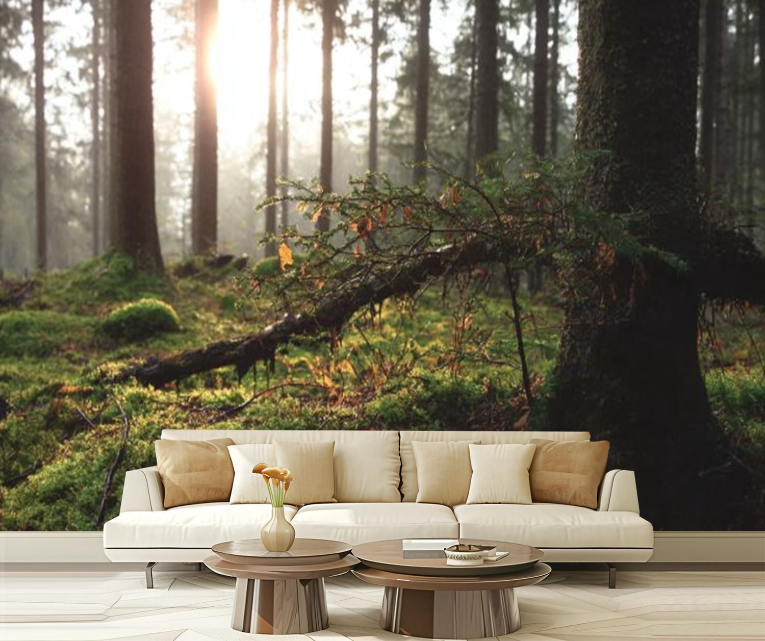 Peel and Stick Wallpaper sunrise between tree trunks forest Modern Art Wall Mural Decor Self Adhesive and Removable 69in x 98in
