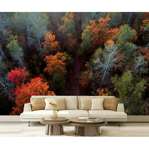 Peel and Stick Wallpaper top view colored forest autumn Modern Art Wall Mural Decor Self Adhesive and Removable 69in x 98in