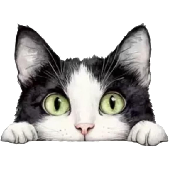 Peeping Cat Car Window Waterproof Vinyl Decorative Decal 2 pcs blm01
