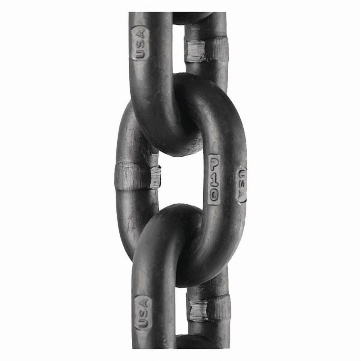 Peerless Chain Straight Chain,Alloy Stl,15'L,22,600 lb 5510815