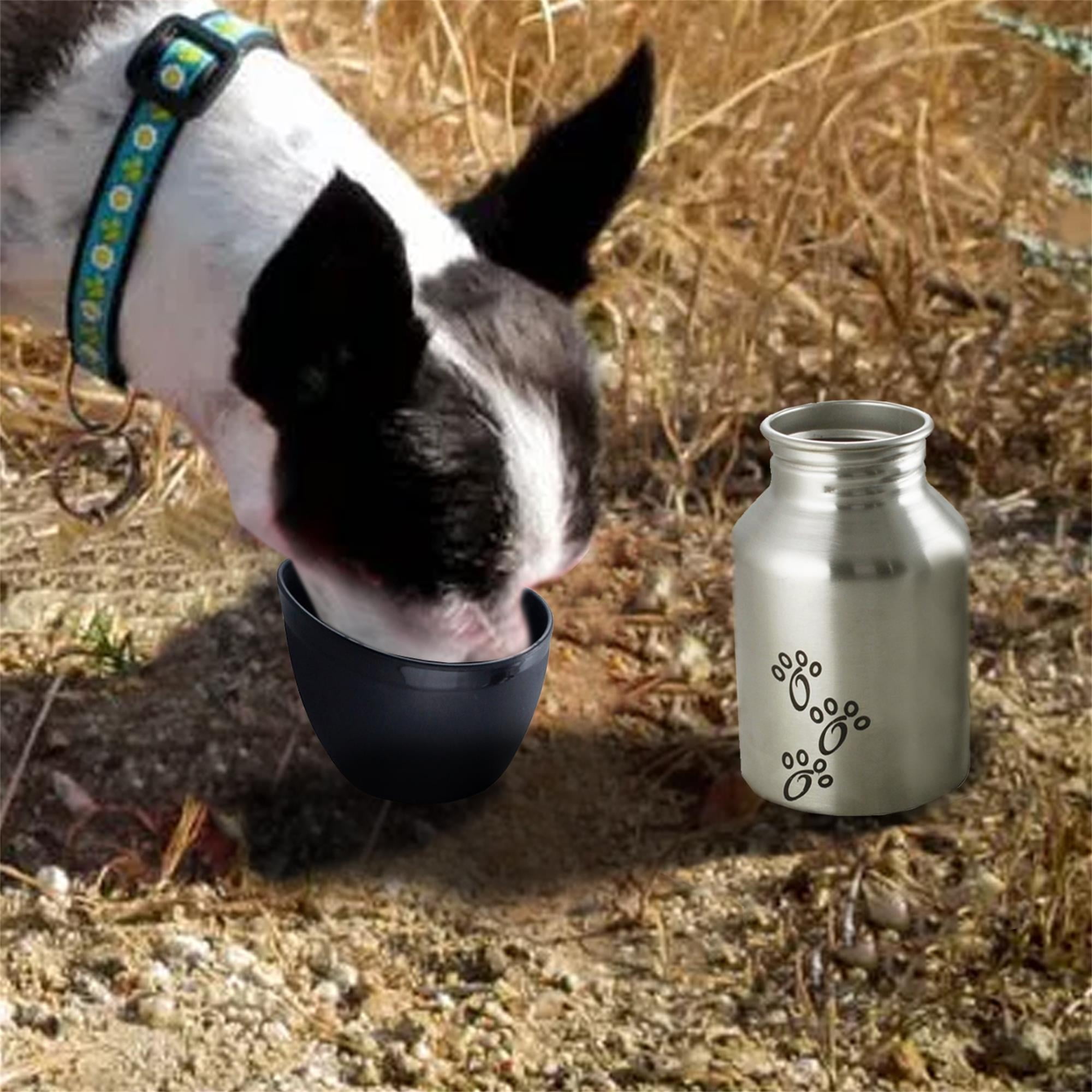 Pefilos 11.84 oz Plastic Fin Cap Pet Travel Dog Water Bottle in Stainless Steel for Small Dogs, Silver and Black S Pefilos 11.84 oz Plastic Fin Cap Pet Travel Dog Water Bottle in Stainless Steel for Small Dogs, Silver and Black S