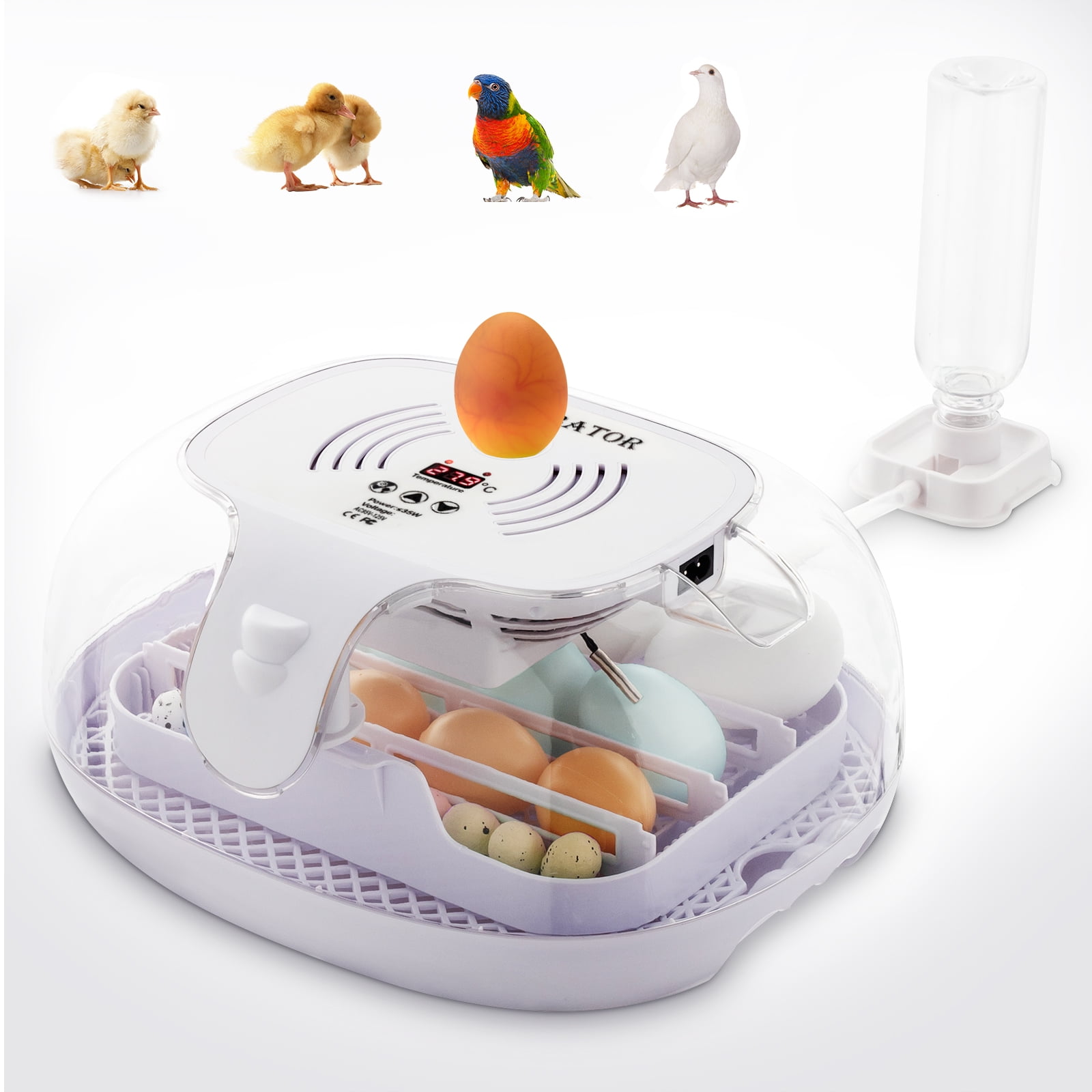 Pefilos 16 Egg Incubator with Automatic Egg Turning and Water Adding Function, Incubators for Hatching Eggs, Ideal for Chicken Quail, White Pefilos 16 Egg Incubator with Automatic Egg Turning and Water Adding Function, Incubators for Hatching Eggs, Ideal for Chicken Quail, White
