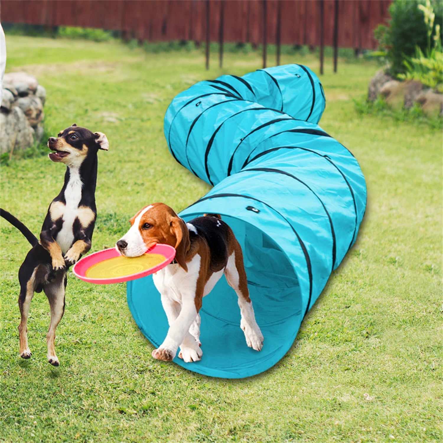 Pefilos 18' Cat Tunnel for Adult Cats Agility Training Tunnel Pet Dog Play Cat Tunnel for Large Cats Outdoor Obedience Exercise Equipment Cat Tunnel for Outside, Blue Pefilos 18' Cat Tunnel for Adult Cats Agility Training Tunnel Pet Dog Play Cat Tunnel for Large Cats Outdoor Obedience Exercise Equipment Cat Tunnel for Outside, Blue