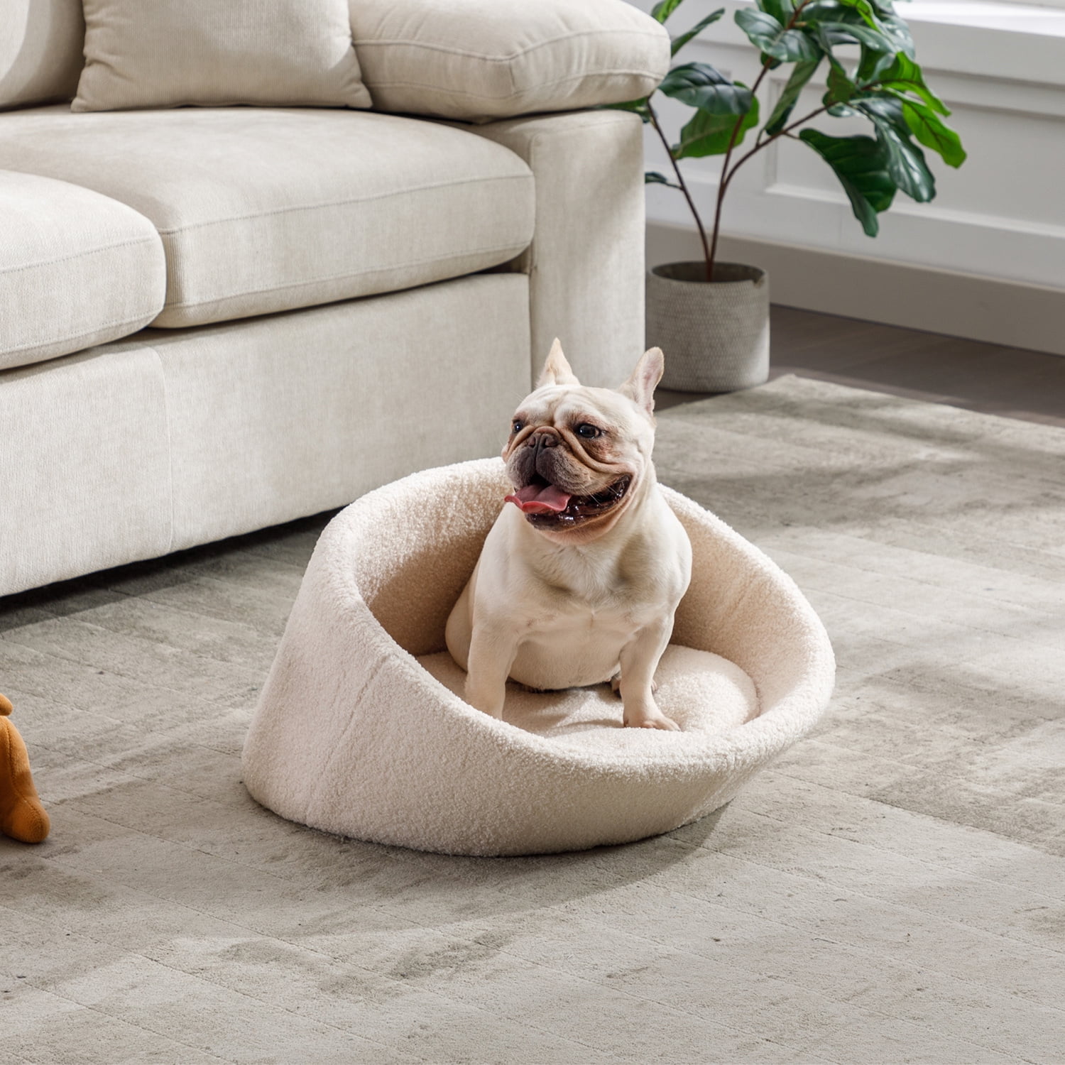 Dog bed shop with sides