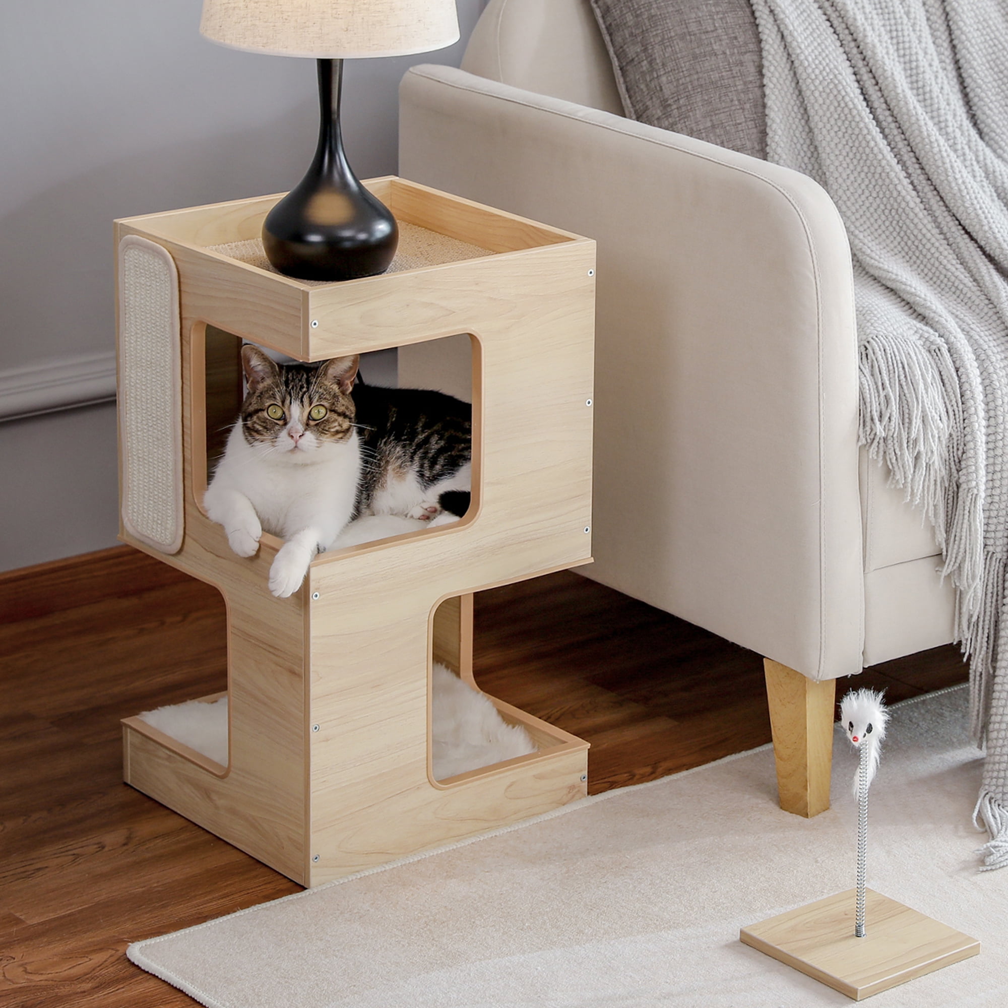 Free cat condo clearance
