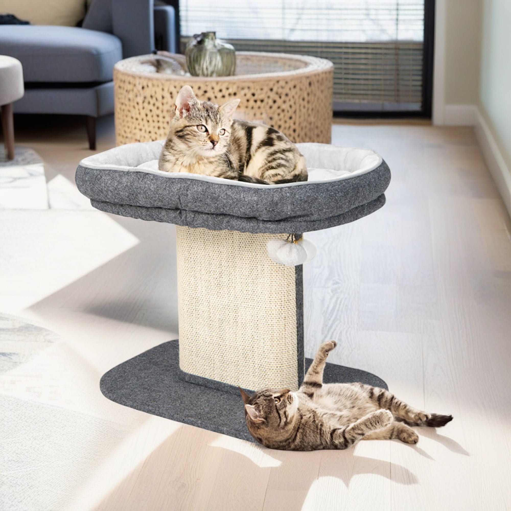 Cat tree apartment 2025