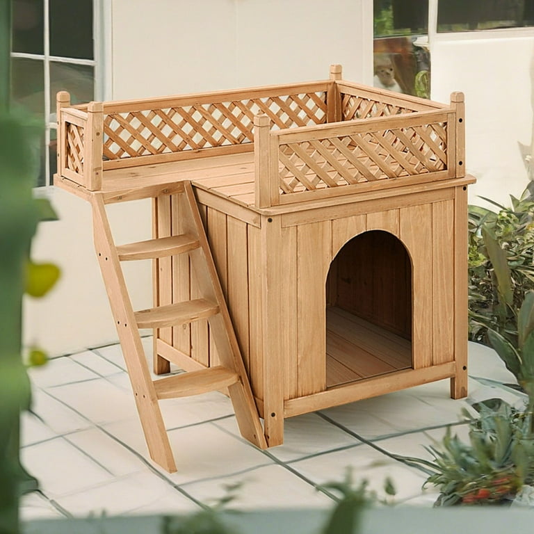Emergency cat shelter 2025
