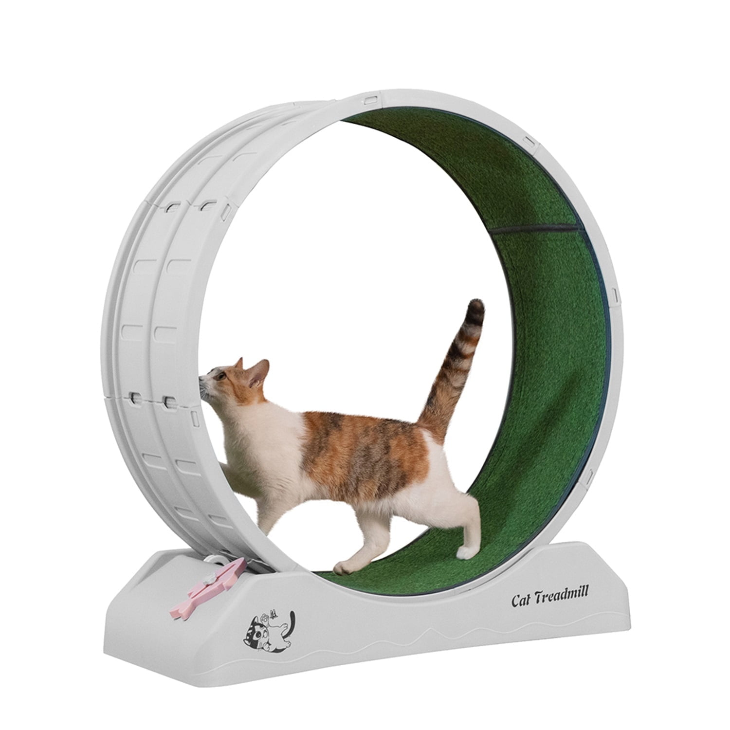 Pefilos 31" Cat Exercise Wheel for Indoor Cats, Large Cat Running Wheels, Easy Assembled Cat