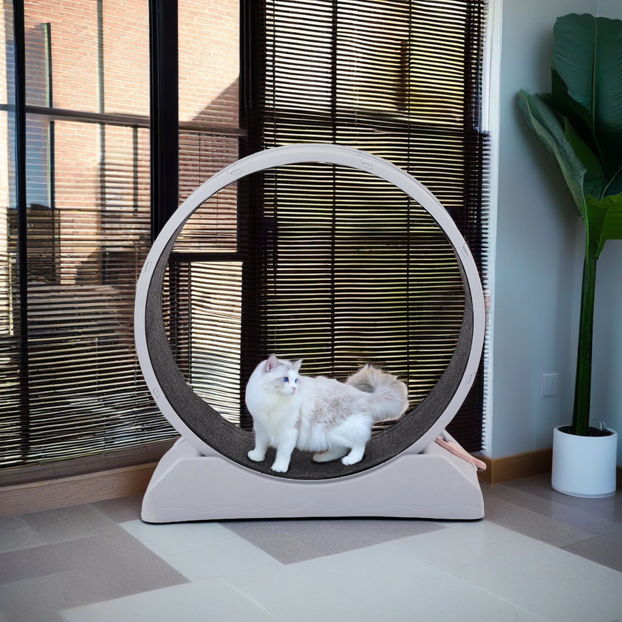 Pefilos 31" Cat Wheel Exerciser, Cat Wheels for Indoor Cats Fitness and Health, Cat Treadmill Wheel Suitable for Most Cats, Gray