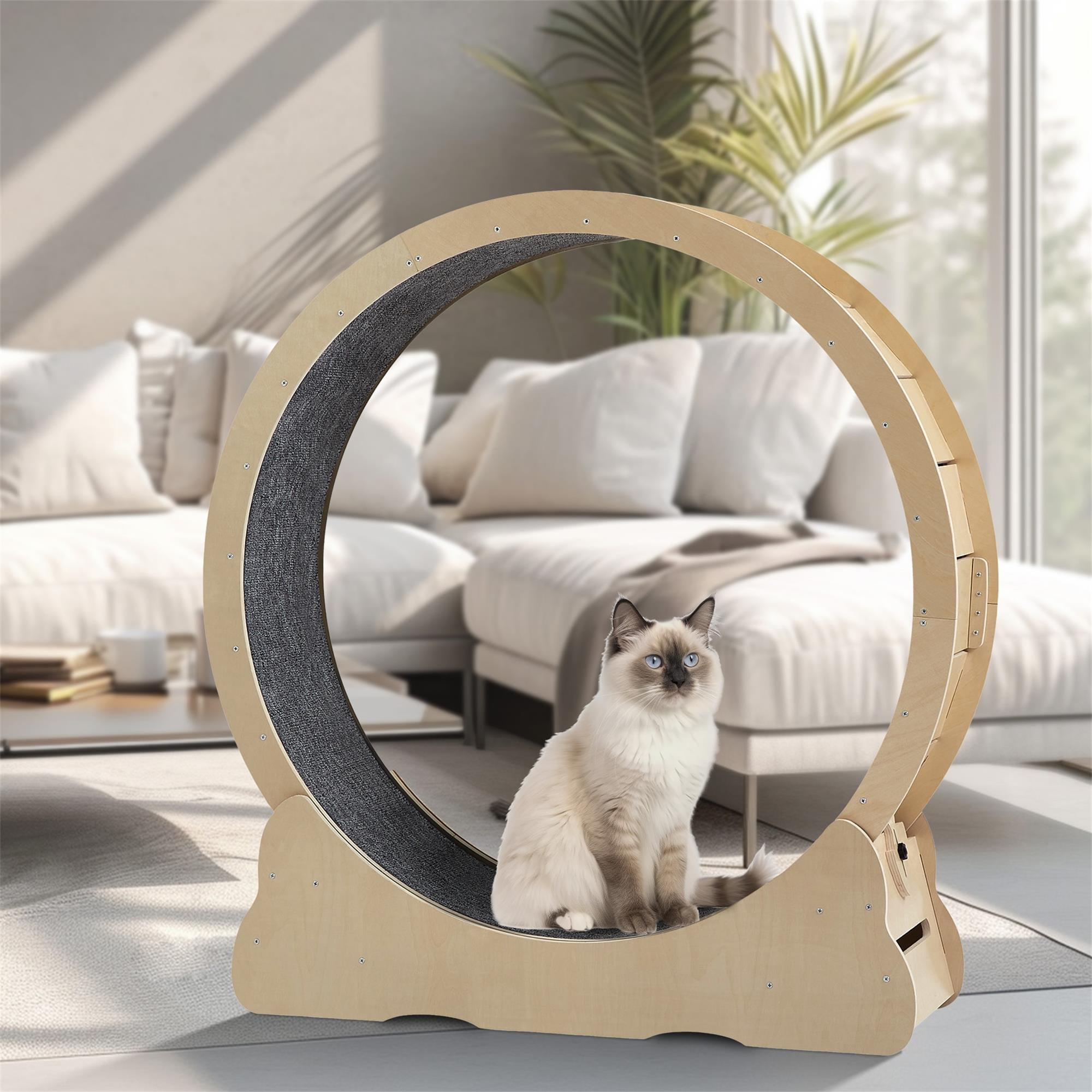 Pefilos 35" Large Cat Exercise Wheel, Cat Running Stylish Treadmill for Indoor Cats, Cat Toys Sturdy Quiet Lightweight, Beige Pefilos 35" Large Cat Exercise Wheel, Cat Running Stylish Treadmill for Indoor Cats, Cat Toys Sturdy Quiet Lightweight, Beige
