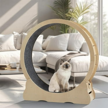 Cat Hamster Wheel Cat Exercise Wheel For Indoor Cats, 40 Inch