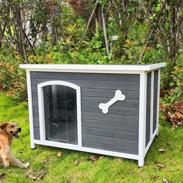 Color a Dog House Color a Dog House