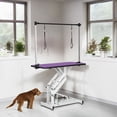 thumbnail image 1 of Pefilos 42" Heavy Duty Electric Lifting Pet Dog Grooming Table for Large Dogs with "H" Arm, Anti-Skid Rubber Desktop and Powerful Motor, Purple, 1 of 10