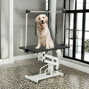 Pefilos 42 Heavy Duty Electric Lifting Pet Dog Grooming Table for Large Dogs with Overhead Arm, Anti-Skid Rubber Desktop and Powerful Motor, Black