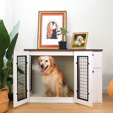 View of Petsfit 19