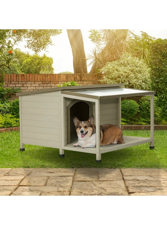 Small Dog Houses in Dog Houses