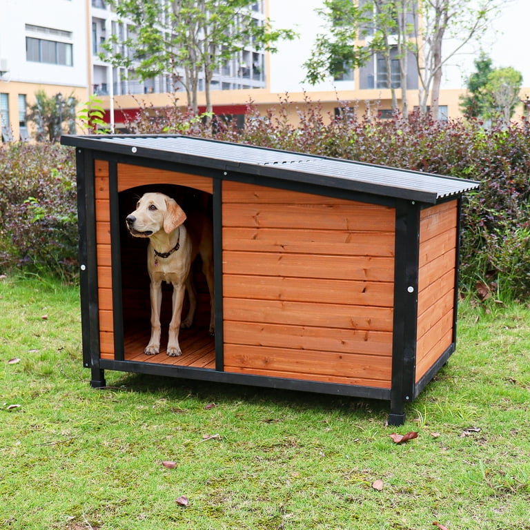 Insulating The Dog House And Installing Paneling And Roofing 