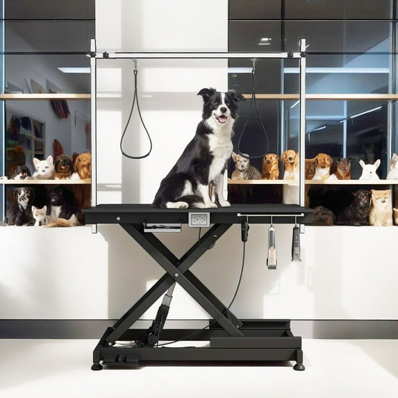 Commercial Grooming Tables For Large Dogs For Sale photo