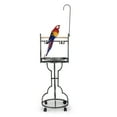 thumbnail image 1 of Pefilos 50" Large Parrot Wood Perch Playstand, Bird Play Stand with Bowls Rolling Wheel, Bird Play Stand, Black, 1 of 13
