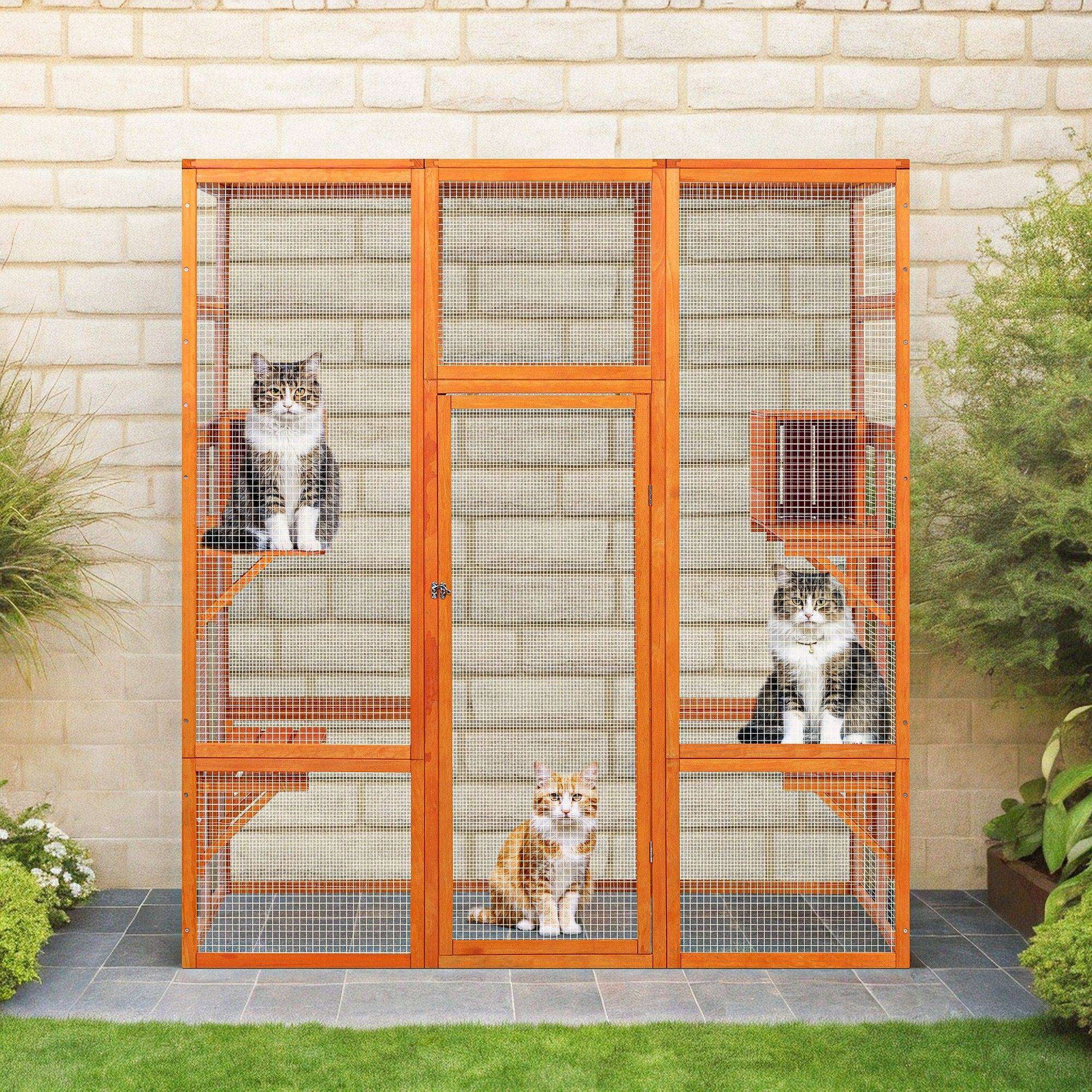Diy Garage Cat Enclosure Pefilos Wooden Outdoor Cat House 70