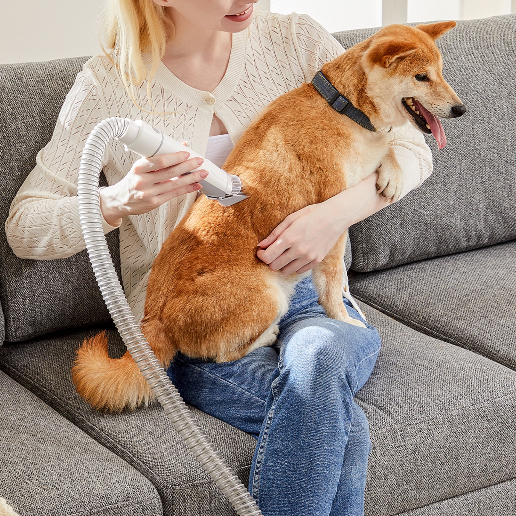 Pefilos Dog Hair Vacuum and Dog Grooming Kit, Pet Grooming Vacuum with 2.5L Dust Cup Dog Brush Vacuum with 5 Pet Grooming Tools for Shedding Pet Hair, Home Cleaning, White Pefilos Dog Hair Vacuum and Dog Grooming Kit, Pet Grooming Vacuum with 2.5L Dust Cup Dog Brush Vacuum with 5 Pet Grooming Tools for Shedding Pet Hair, Home Cleaning, White