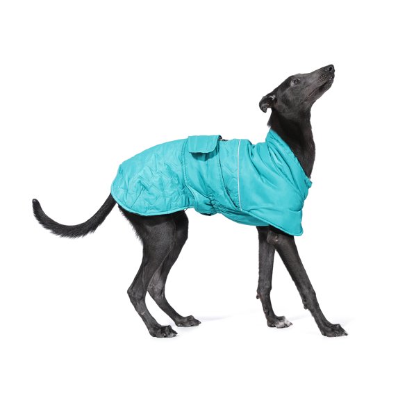 Pefilos Reversible Water Repellent Dog Jacket Pets Apparel Winter Warm Outdoor Sport Dog Coats for Winter Cold Weather Puppy Comfort Vest, Green L