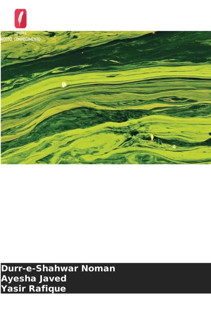 Pegadas de carbono do consumo de energia, (Paperback)