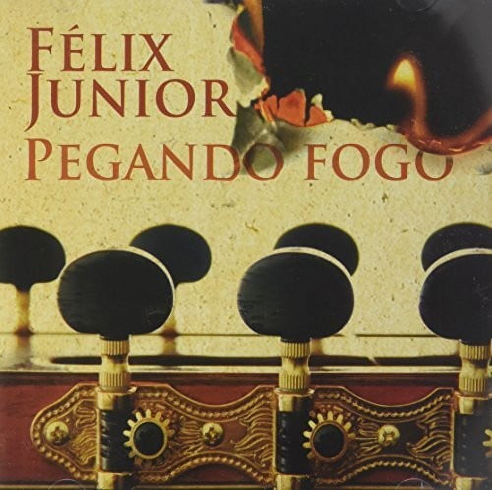 Pegando Fogo
