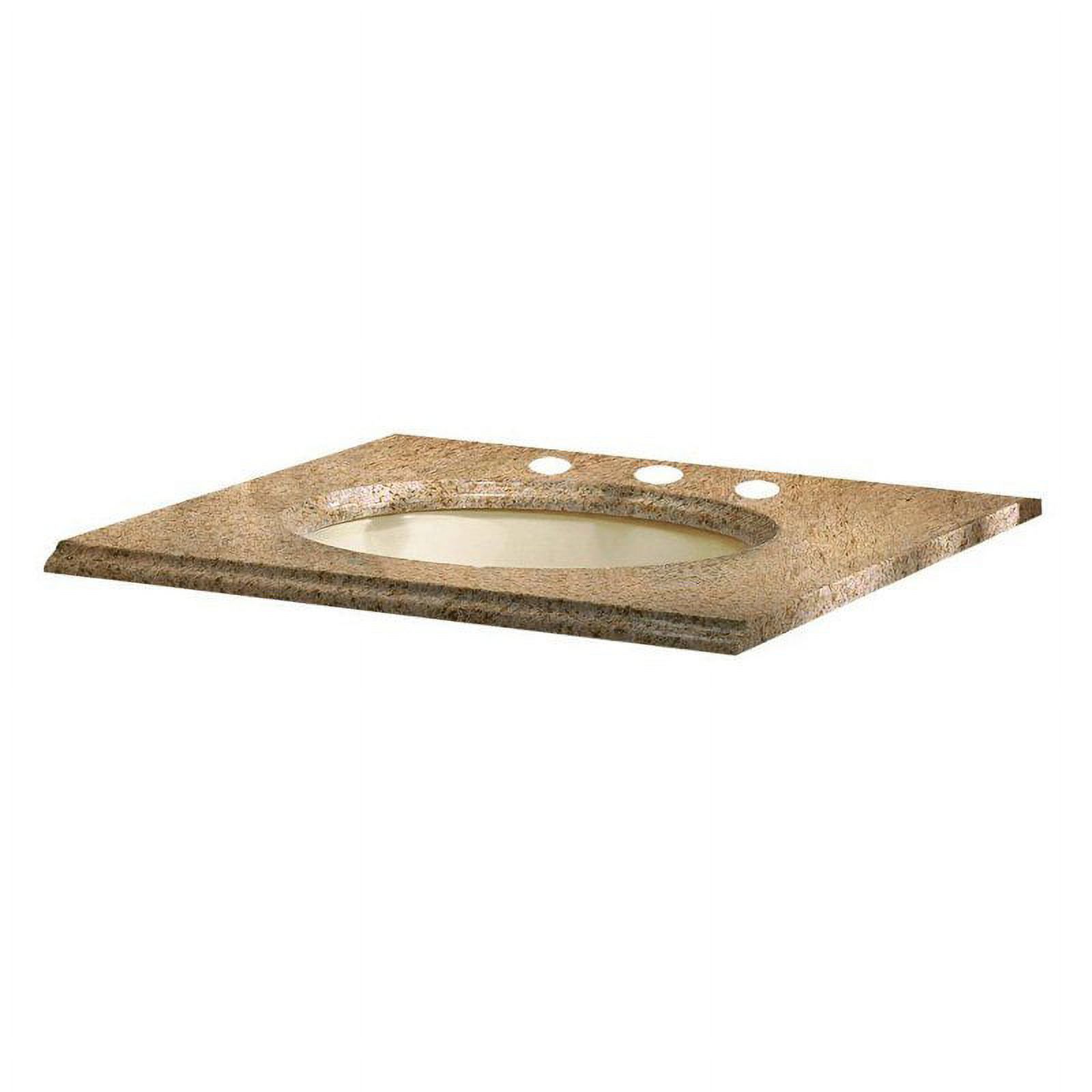 Pegasus 25W x 22D in. Granite Vanity Top with Biscuit Bowl