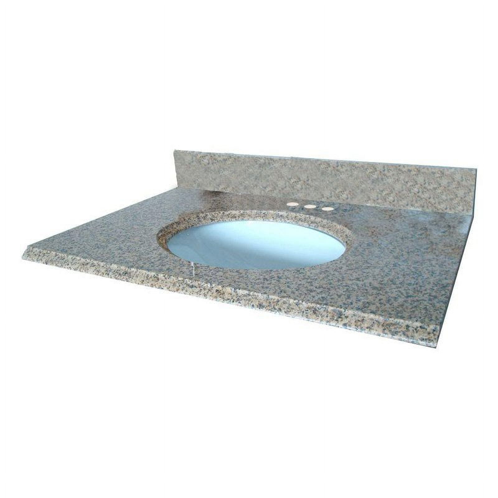 Pegasus 31W x 22D in. Granite Vanity Top with White Bowl