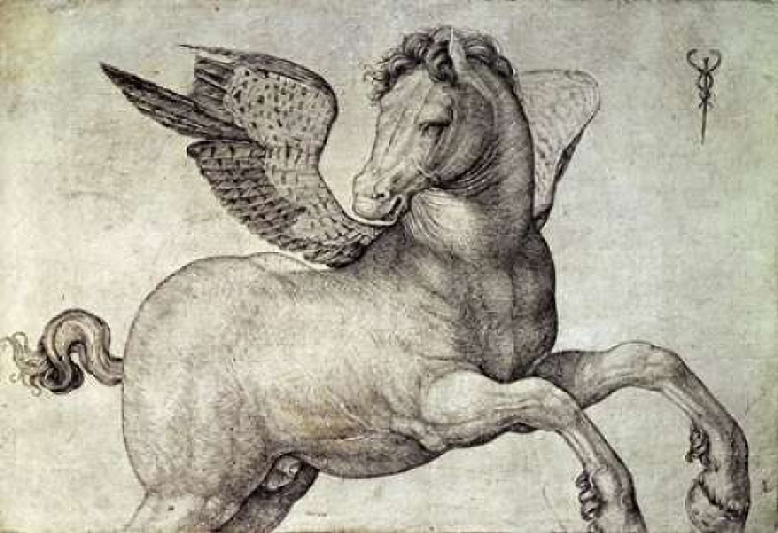 Pegasus Canvas Art - Jacopo De Barbari (20 x 28)
