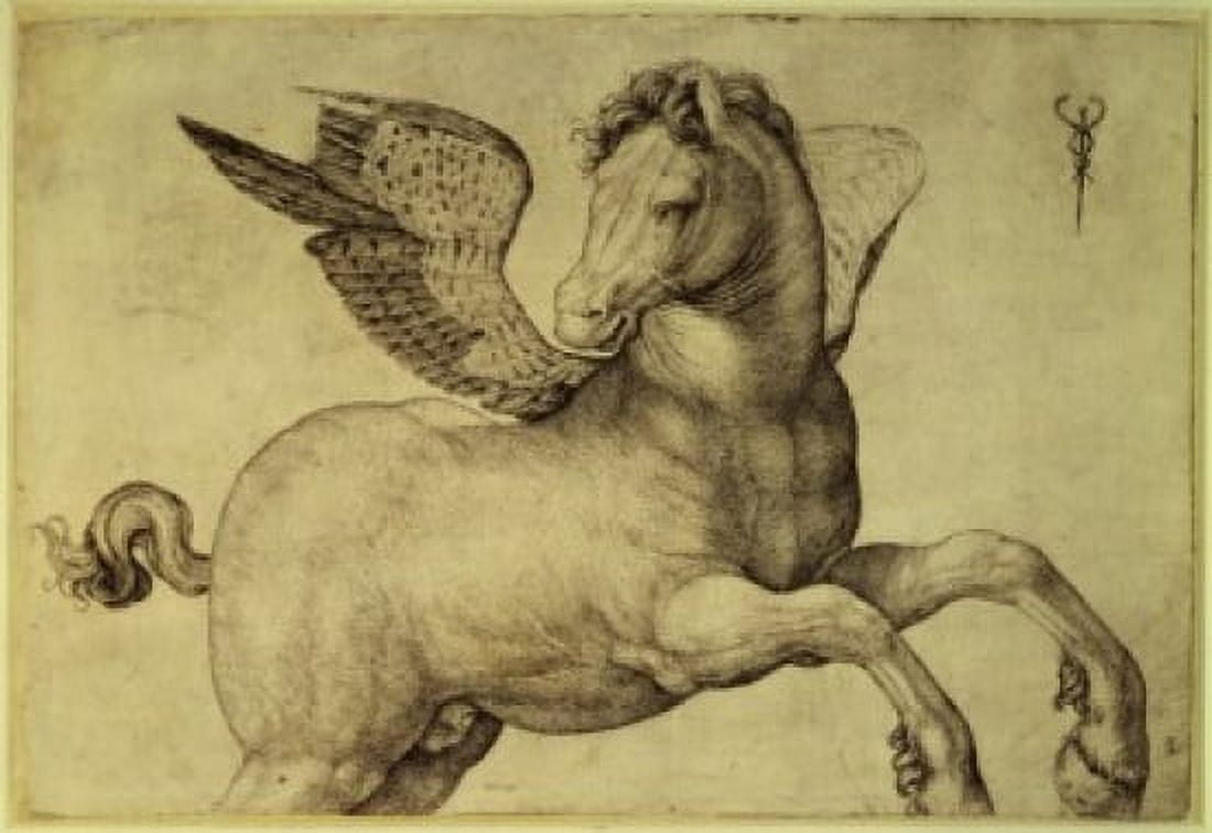 Pegasus Late 15th C Jacopo de Barbari (1440-1511Italian) Engraving Rijksmuseum Amsterdam Canvas Art - Jacopo de Barbari (18 x 24)