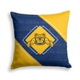 thumbnail image 1 of Pegasus North Carolina A&T Aggies 18" x 18" Diamond Boxed Decor Pillow, 1 of 1