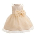 thumbnail image 1 of Pejock 0-3 Years Kids Pageant Flower Girl Dress Little Girls Party Wedding Formal Dresses Toddler Baby Girls Sleeveless Lace Bow Mesh Dress Gauze Dress Princess Dress, 1 of 5